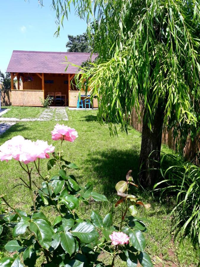 Casa Pavel Jurilovca Villa Eksteriør bilde