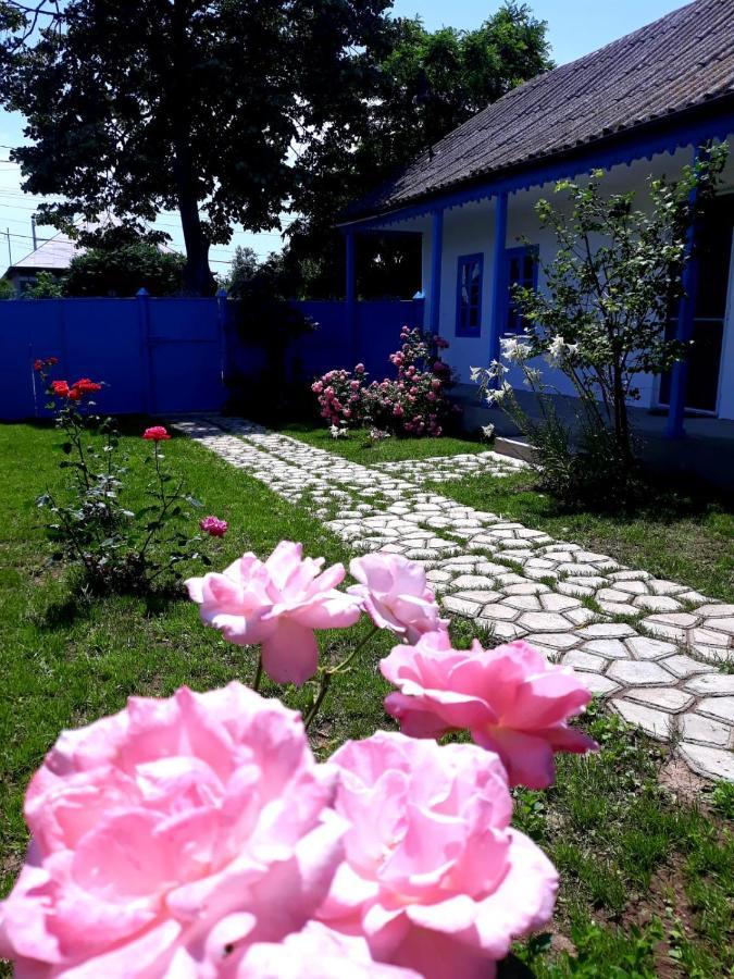 Casa Pavel Jurilovca Villa Eksteriør bilde