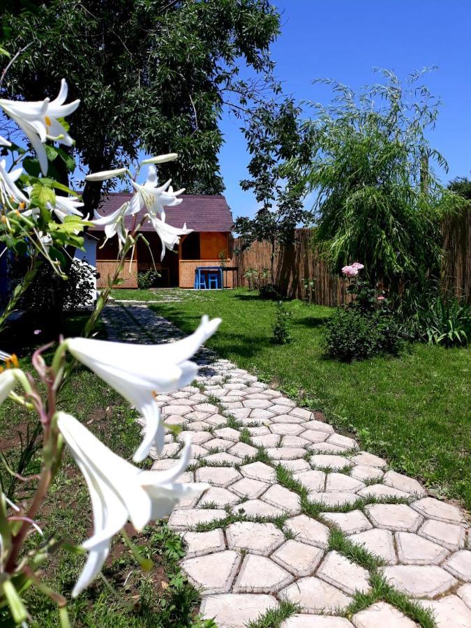 Casa Pavel Jurilovca Villa Eksteriør bilde